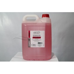 Champú garrafa 5L Fresa